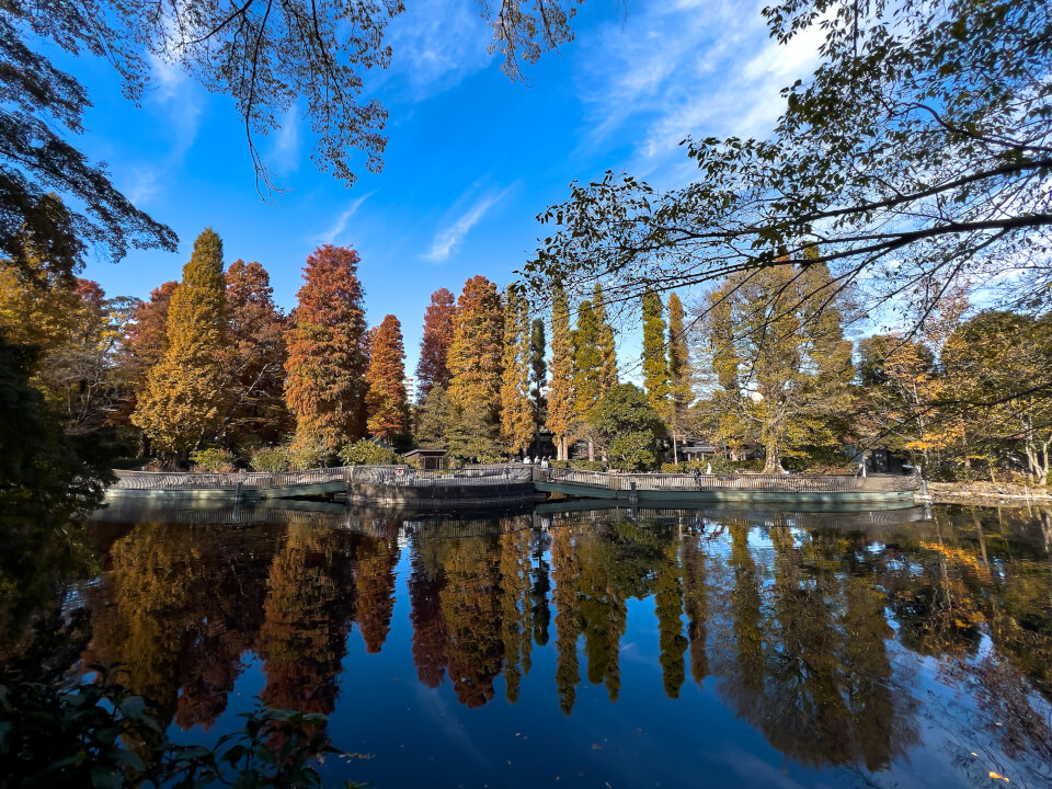 Inokashira Park